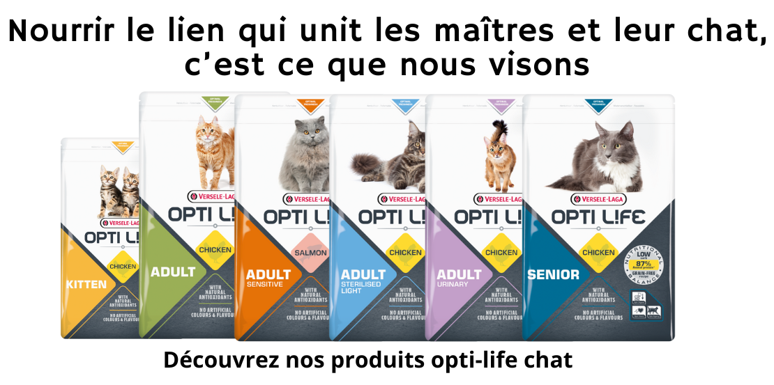 optilife chat